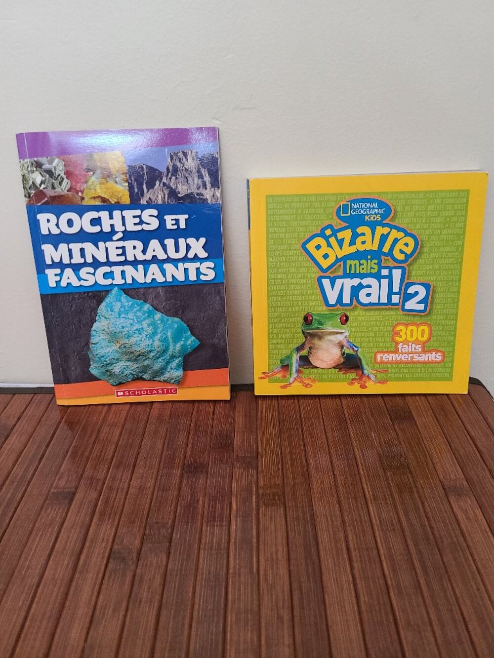 Ten French Kid's Paperback Books - Picture 5 of 6